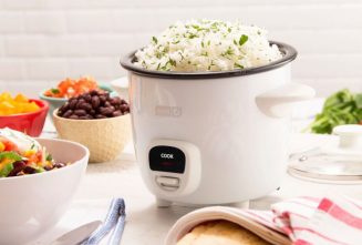 آشنایی با انواع پلوپز