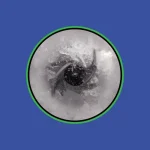 مخلوط کن نینجا مدل TB301 - تصویر 4