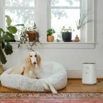 تصفیه کننده هوا کرشر مدل AF20 - تصویر 5