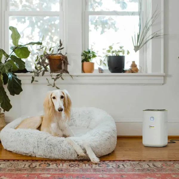 تصفیه کننده هوا کرشر مدل AF20 - تصویر 5