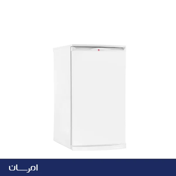 يخچال-5-فوت-امرسان-مدل-IR5T.webp يخچال 5 فوت امرسان مدل IR5T - تصویر 1