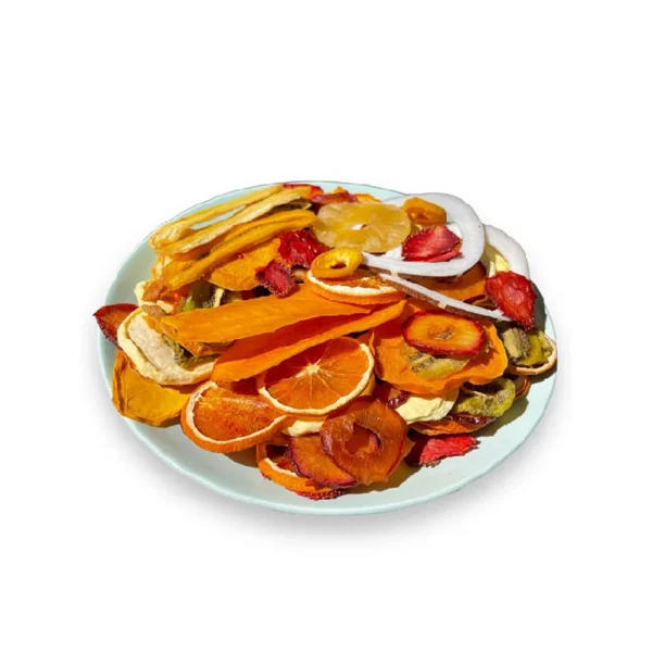 میوه خشک کن سایا مدل Papaya - تصویر 2